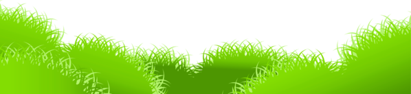 Free Tree Grass Grass Family Leaf Clipart Clipart Transparent Background