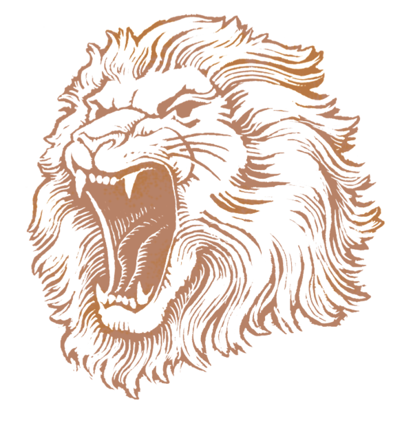 Free Lion Line Art Head Lion Clipart Clipart Transparent Background
