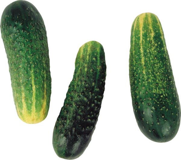 Free Winter Vegetable Cucumber Gherkin Clipart Clipart Transparent Background
