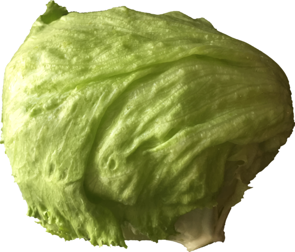Free Salad Leaf Vegetable Vegetable Lettuce Clipart Clipart Transparent Background