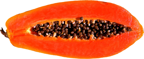 Free Vegetable Fruit Papaya Superfood Clipart Clipart Transparent Background