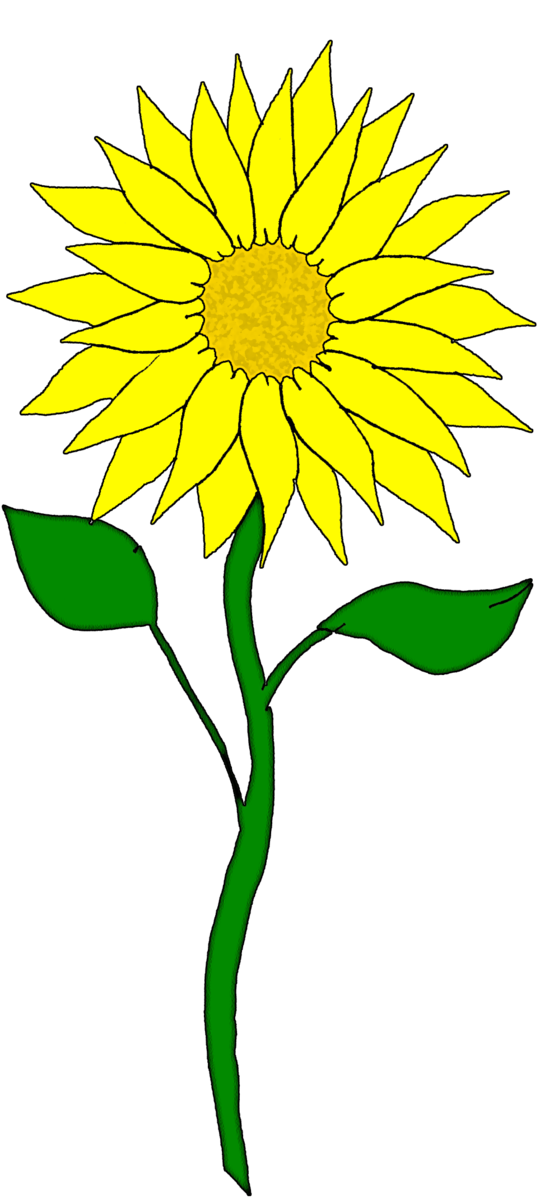 Free Sunflower Flower Sunflower Flora Clipart Clipart Transparent Background