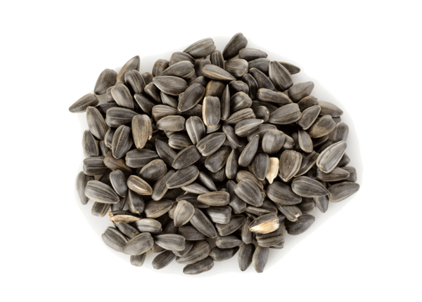 Free Sunflower Nuts Seeds Vegetarian Food Nut Clipart Clipart Transparent Background