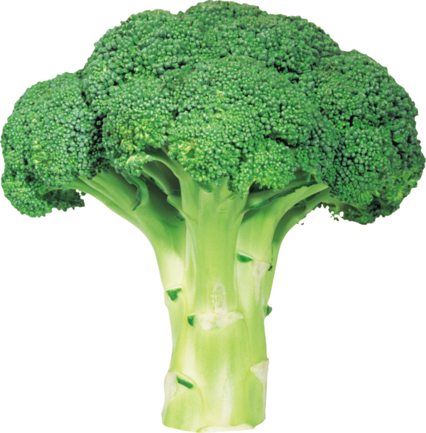 Free Vegetable Leaf Vegetable Broccoli Grass Clipart Clipart Transparent Background