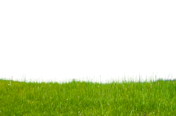Free Lawn Grassland Grass Sky Clipart Clipart Transparent Background