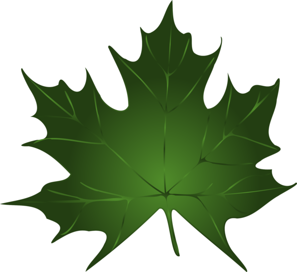Free Family Leaf Plant Maple Leaf Clipart Clipart Transparent Background