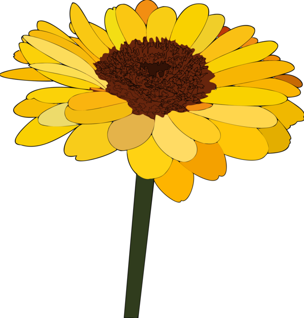 Free Gerbera Flower Sunflower Oxeye Daisy Clipart Clipart Transparent Background