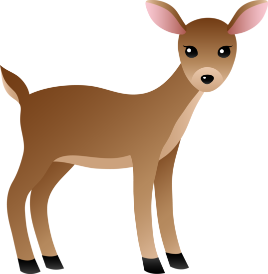 Free Deer Deer Wildlife Tail Clipart Clipart Transparent Background