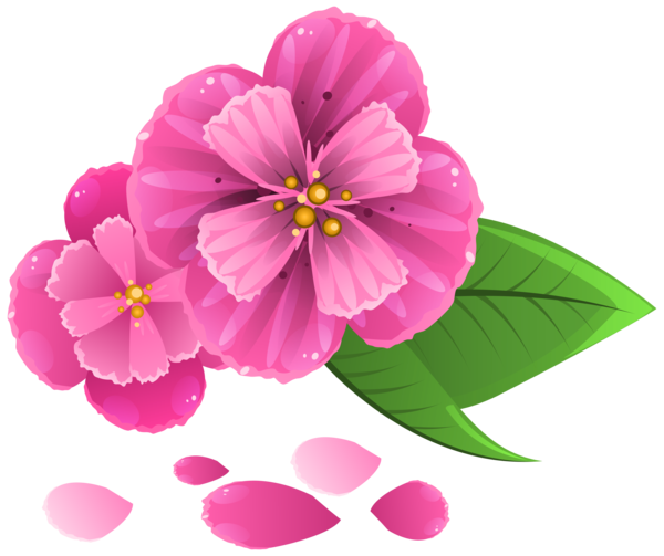 Free Family Flower Magenta Petal Clipart Clipart Transparent Background