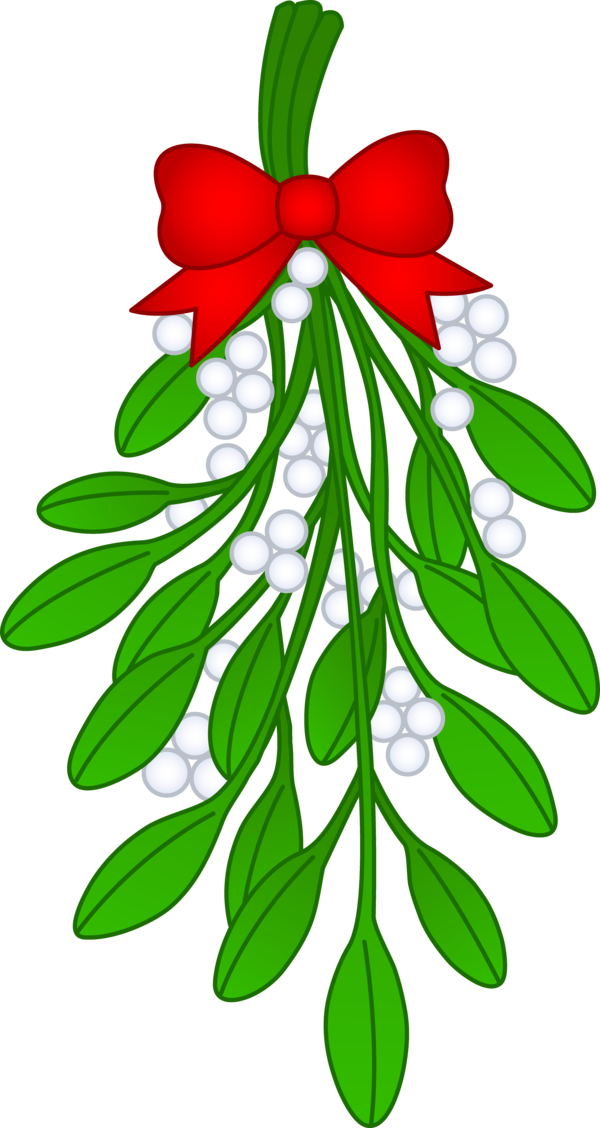 Free Christmas Flower Plant Leaf Clipart Clipart Transparent Background