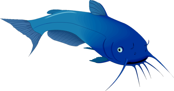Free Fishing Fish Blue Electric Blue Clipart Clipart Transparent Background