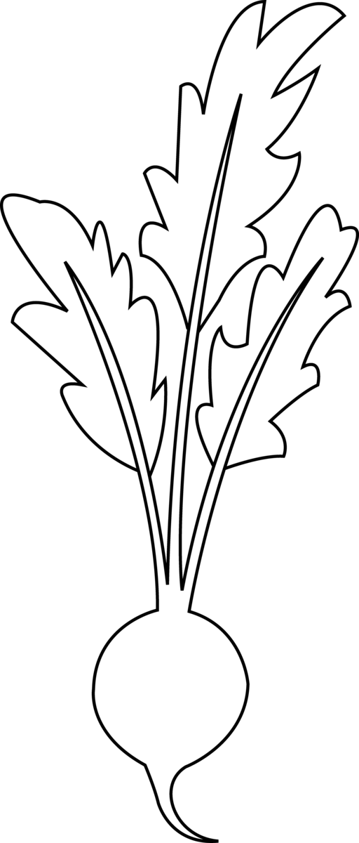 Free Vegetable Flower Black And White Flora Clipart Clipart Transparent Background