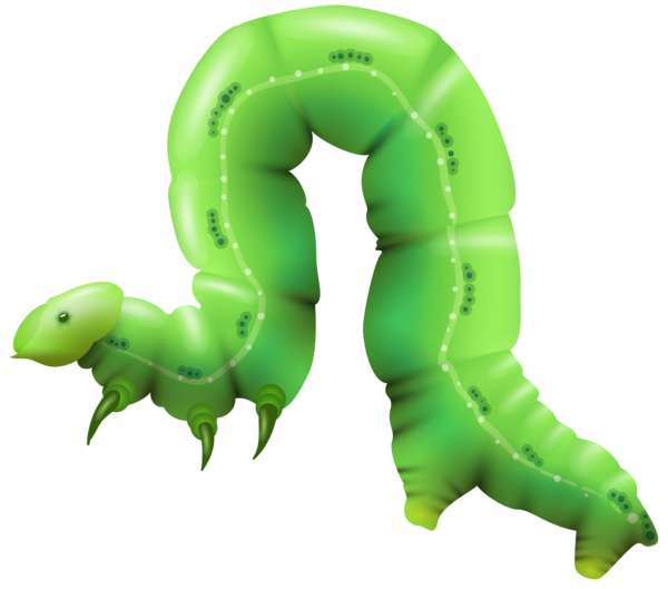Free Butterfly Larva Insect Caterpillar Clipart Clipart Transparent Background