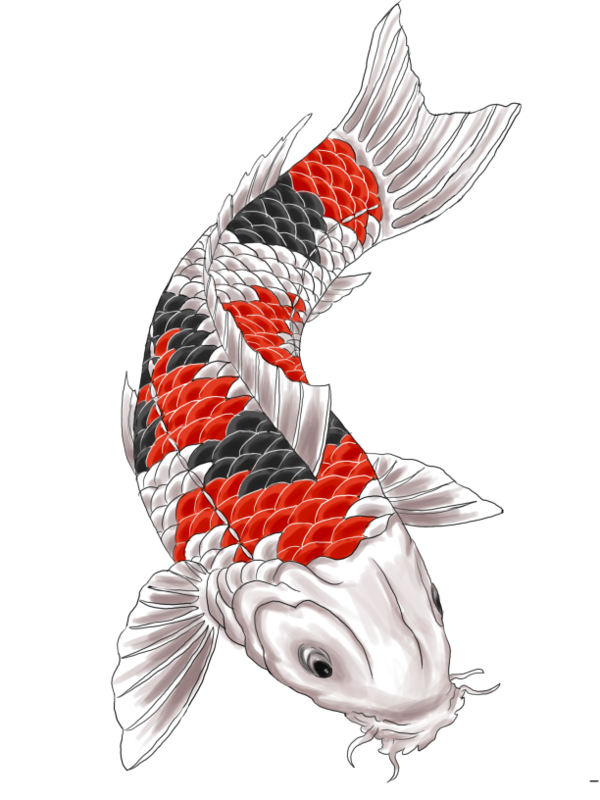 Free Fishing Koi Fish Wing Clipart Clipart Transparent Background