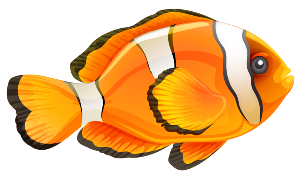 Free Fishing Fish Tail Orange Clipart Clipart Transparent Background