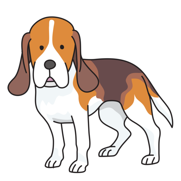 Free Dog Snout English Foxhound Hound Clipart Clipart Transparent Background