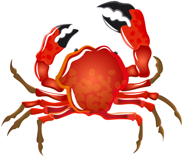 Free Crab Crab Decapoda Seafood Clipart Clipart Transparent Background