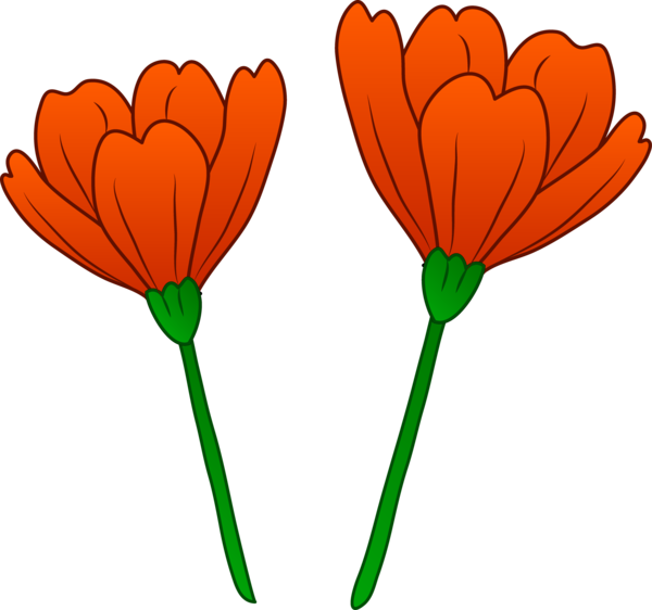 Free Tulip Flower Petal Plant Clipart Clipart Transparent Background