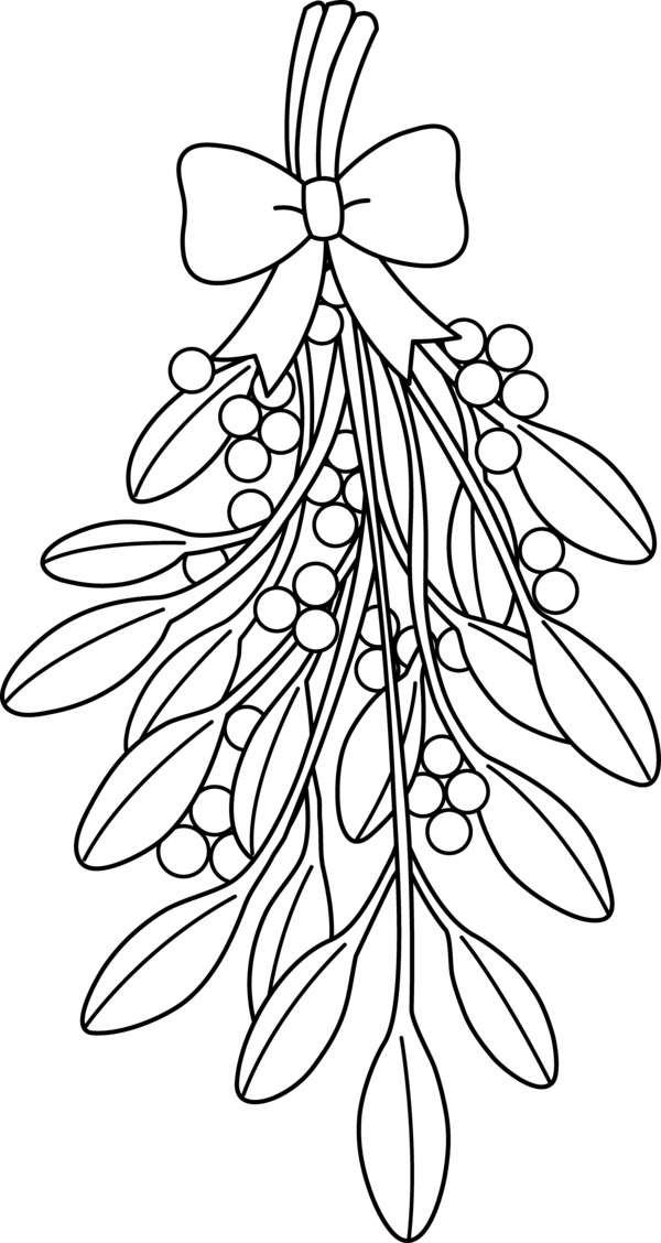 Free Christmas Flower Black And White Flora Clipart Clipart Transparent Background