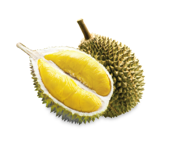 Free Fruit Fruit Durian Food Clipart Clipart Transparent Background