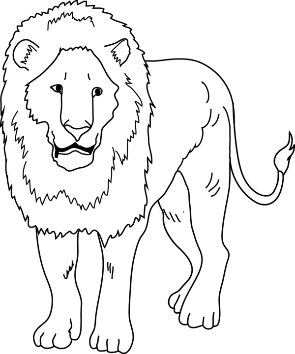 Free Lion Line Art Wildlife Face Clipart Clipart Transparent Background
