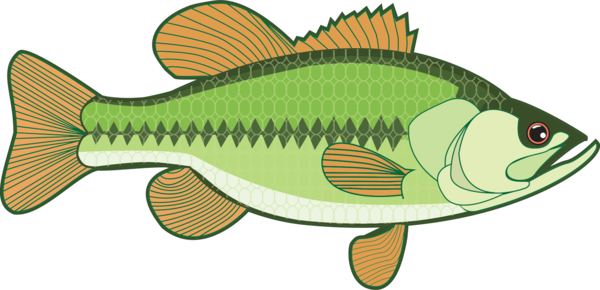 Free Fishing Perch Tilapia Seafood Clipart Clipart Transparent Background