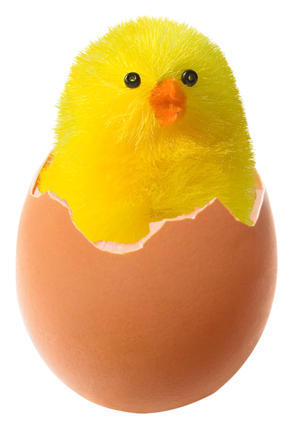 Free Bird Material Egg Bird Clipart Clipart Transparent Background