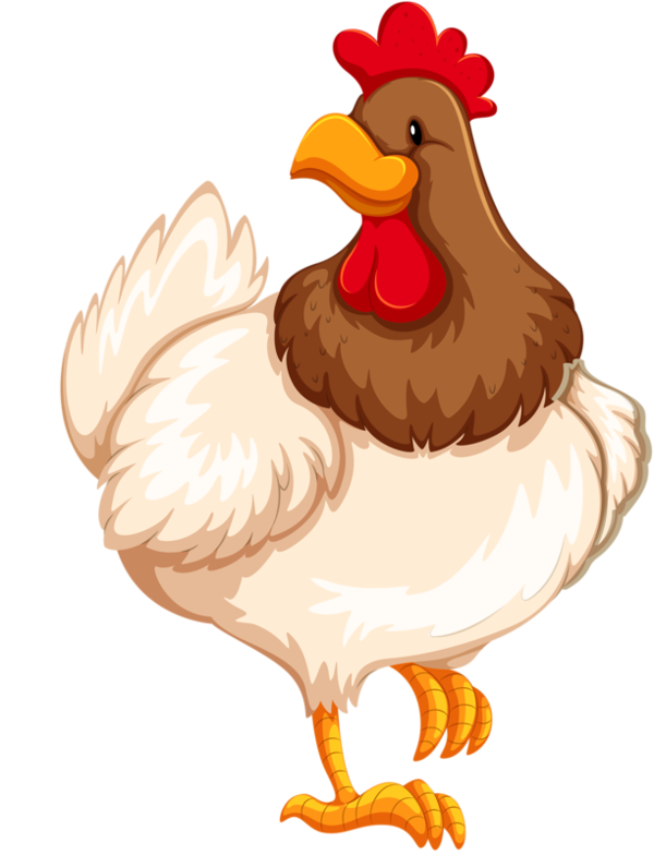 Free Poultry Chicken Bird Rooster Clipart Clipart Transparent Background