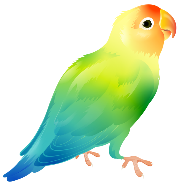 Free Bird Macaw Parrot Wing Clipart Clipart Transparent Background