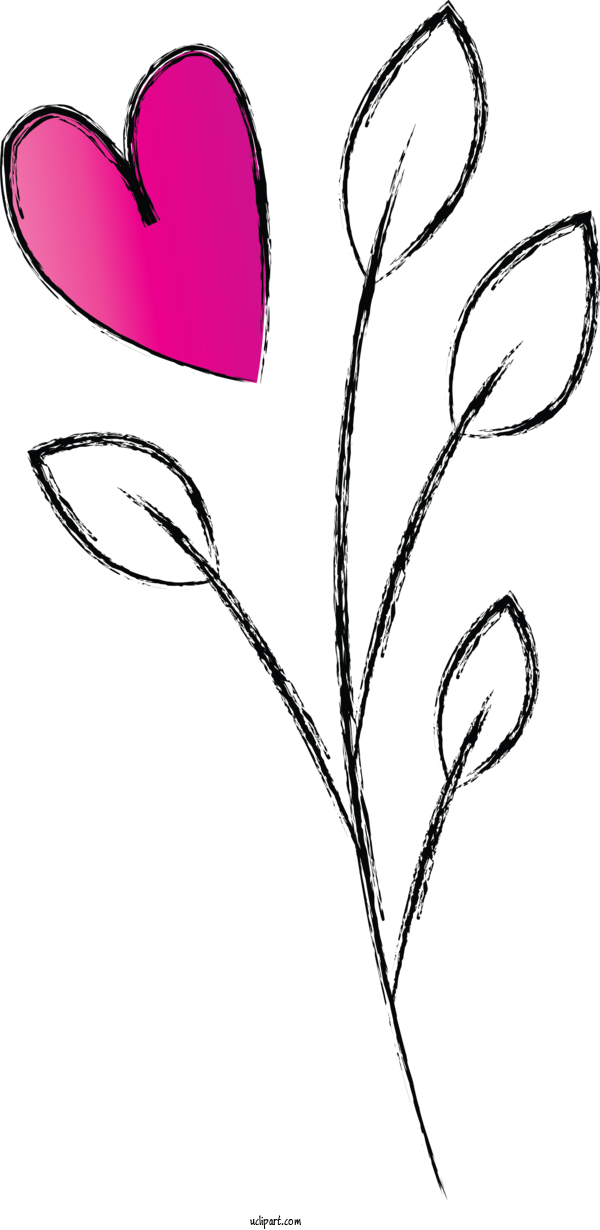 Free Holidays Leaf Plant Pedicel For Valentines Day Clipart Transparent Background