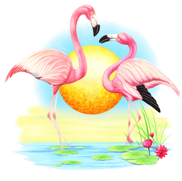 Free Bird Flamingo Water Bird Beak Clipart Clipart Transparent Background