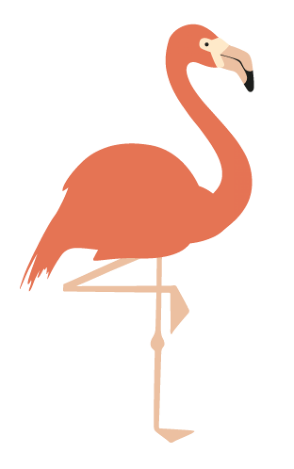 Free Bird Flamingo Water Bird Neck Clipart Clipart Transparent Background