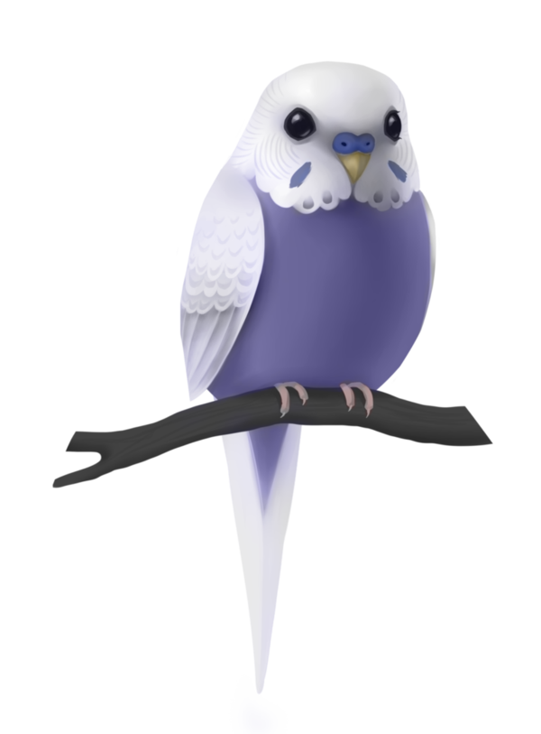 Free Bird Owl Parrot Bird Of Prey Clipart Clipart Transparent Background