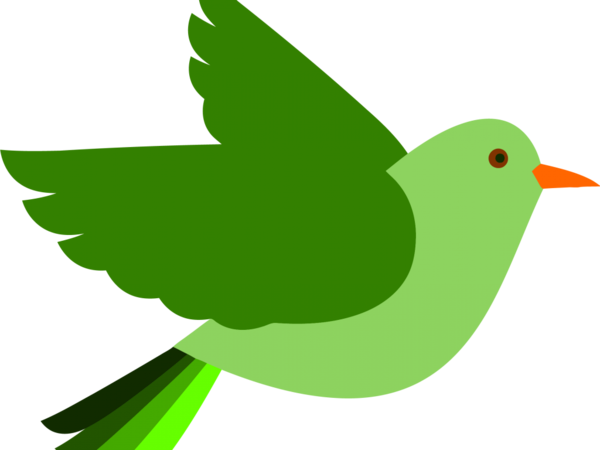 Free Bird Beak Green Bird Clipart Clipart Transparent Background