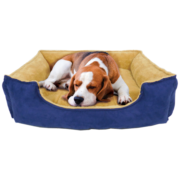 Free Dog Dog Dog Bed Snout Clipart Clipart Transparent Background
