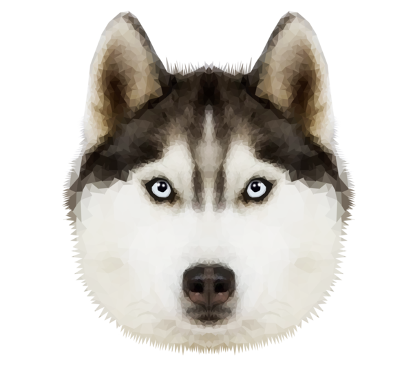Free Dog Snout Siberian Husky Fur Clipart Clipart Transparent Background