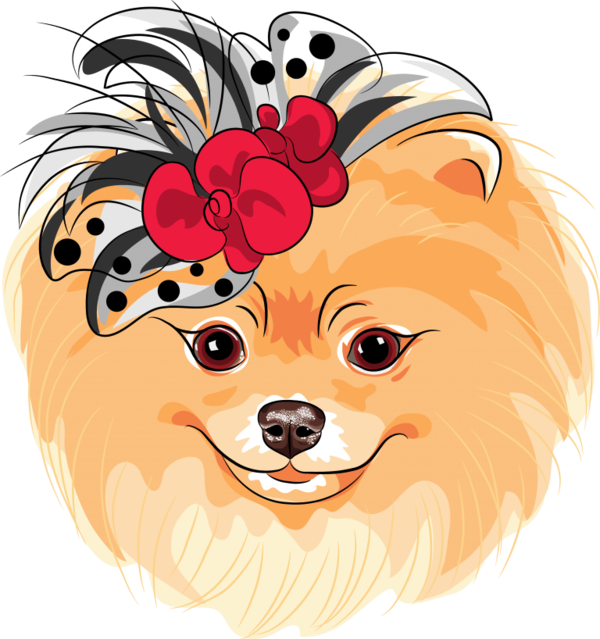 Free Dog Dog Pomeranian Nose Clipart Clipart Transparent Background
