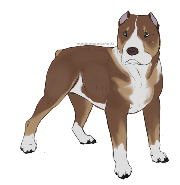 Free Dog Non Sporting Group American Staffordshire Terrier Dog Clipart Clipart Transparent Background