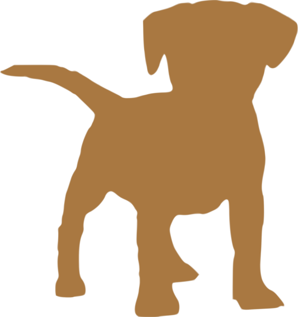Free Dog Companion Dog Dog Snout Clipart Clipart Transparent Background