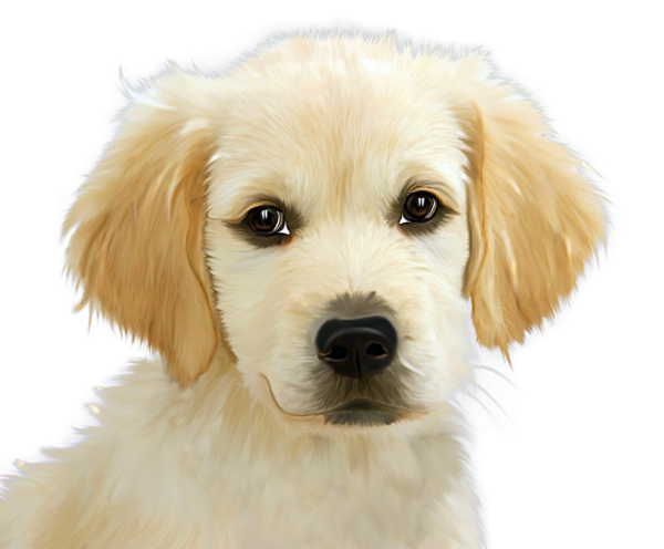 Free Dog Dog Puppy Golden Retriever Clipart Clipart Transparent Background