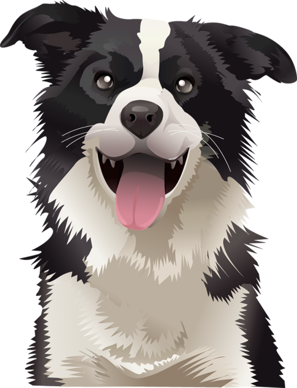 Free Dog Dog Border Collie Australian Collie Clipart Clipart Transparent Background