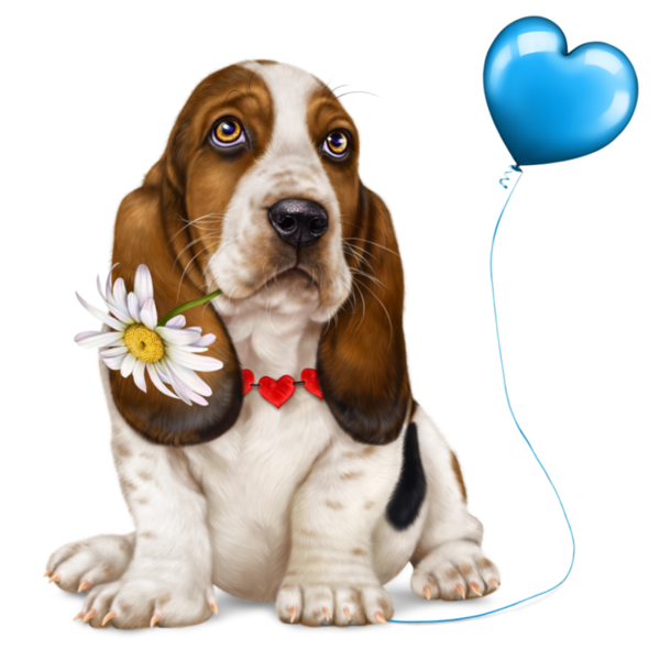 Free Dog Dog Basset Hound Puppy Clipart Clipart Transparent Background