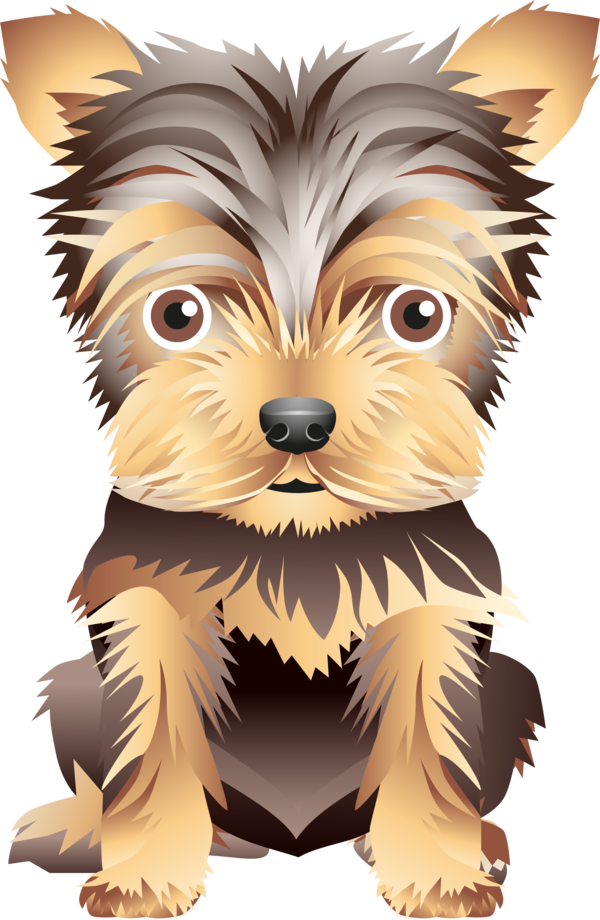 Free Dog Yorkshire Terrier Small Terrier Puppy Love Clipart Clipart Transparent Background
