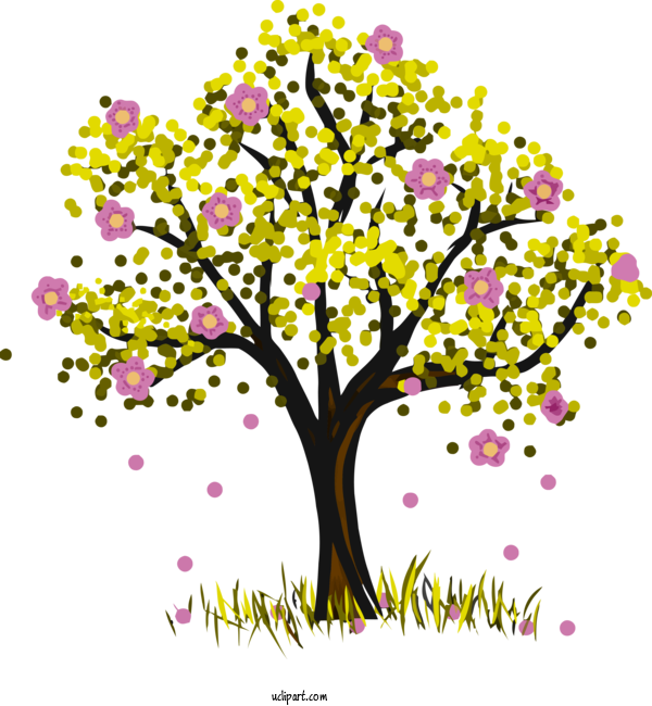 Free Nature Tree Branch Plant For Tree Clipart Transparent Background