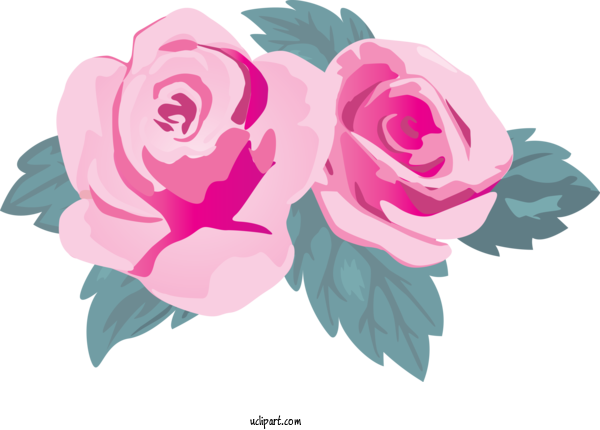 Free Flowers Pink Garden Roses Flower For Rose Clipart Transparent Background