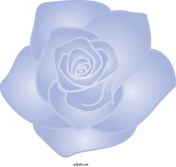 Free Flowers Blue Rose White For Rose Clipart Transparent Background