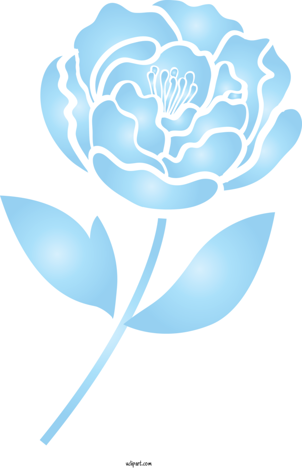 Free Flowers Blue Rose Petal Rose For Rose Clipart Transparent Background