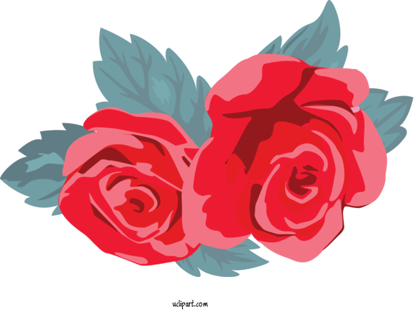 Free Flowers Red Garden Roses Flower For Rose Clipart Transparent Background