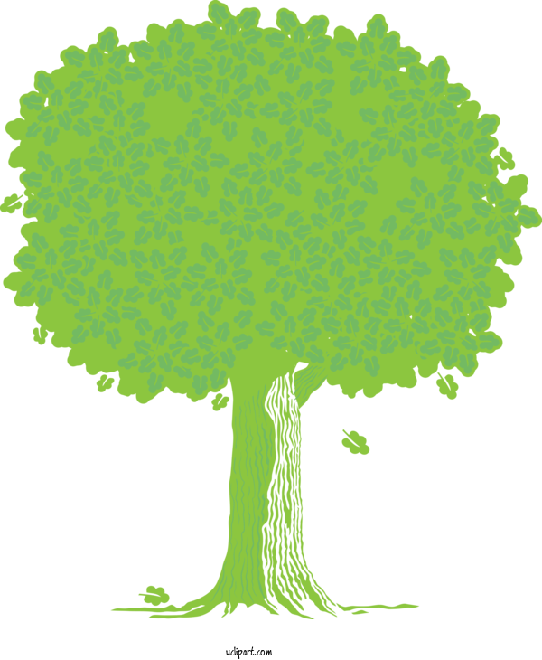 Free Nature Green Tree Plant For Tree Clipart Transparent Background