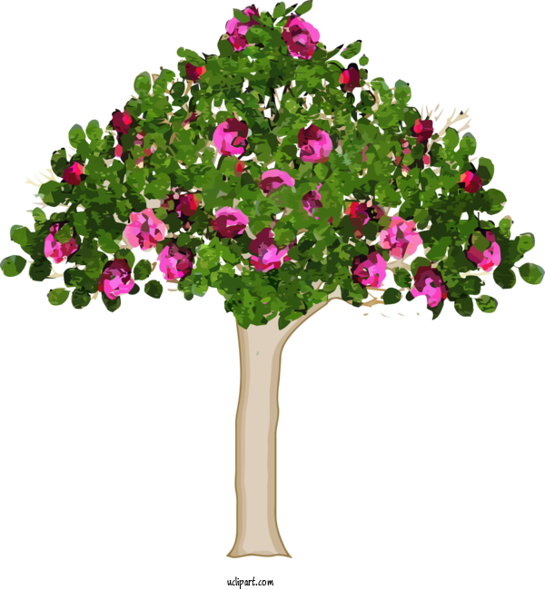 Free Nature Flower Plant Tree For Tree Clipart Transparent Background